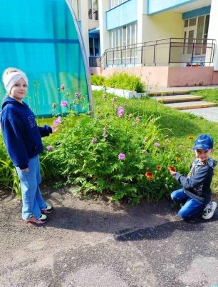 Наблюдение за растениями на прогулке